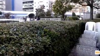 农村精品视频播放在线
